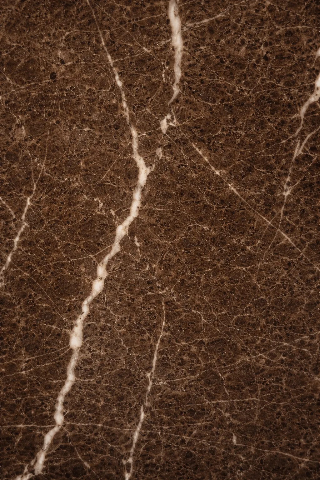 Oshan Brown Marble