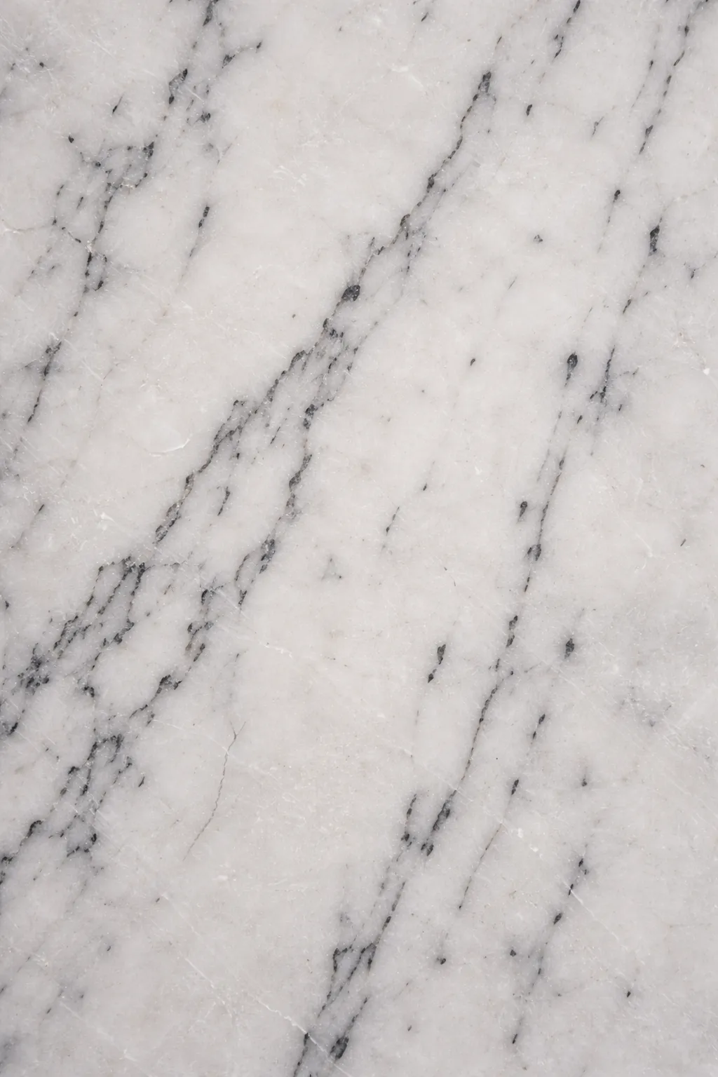 Pampu White Marble