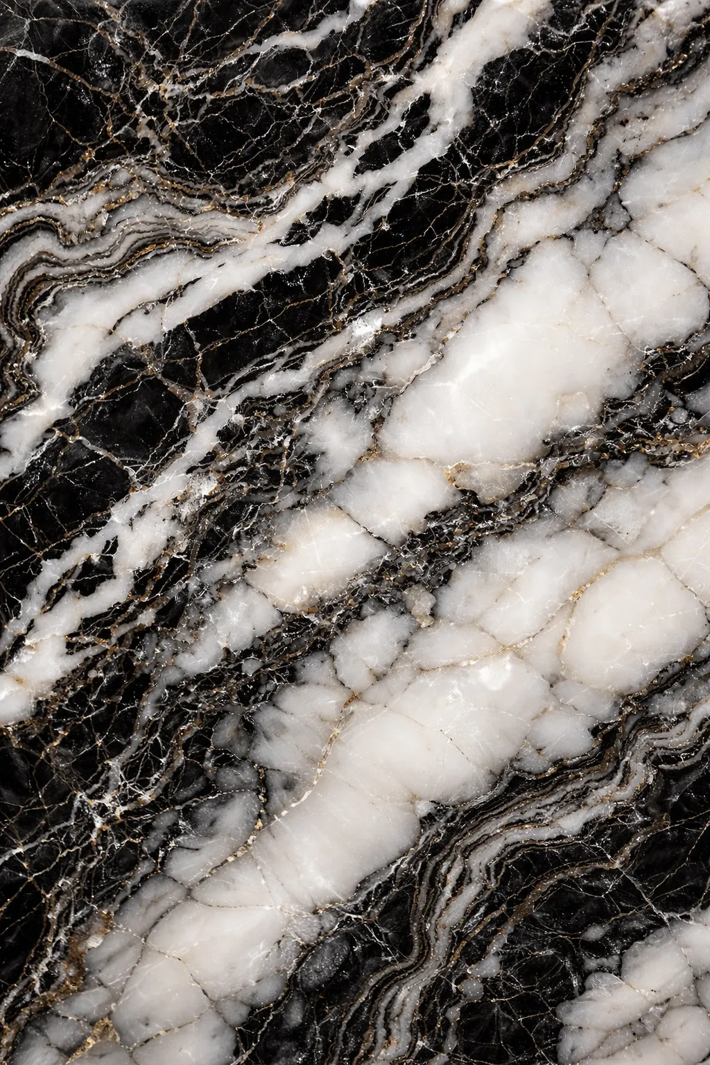 Black & White Panda Marble